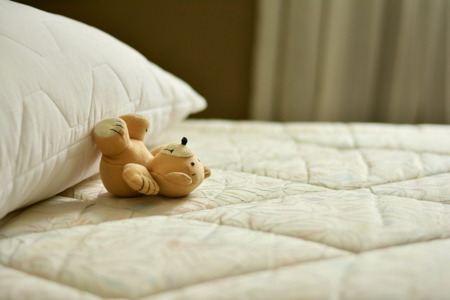 do mattress encasements prevent bed bugs